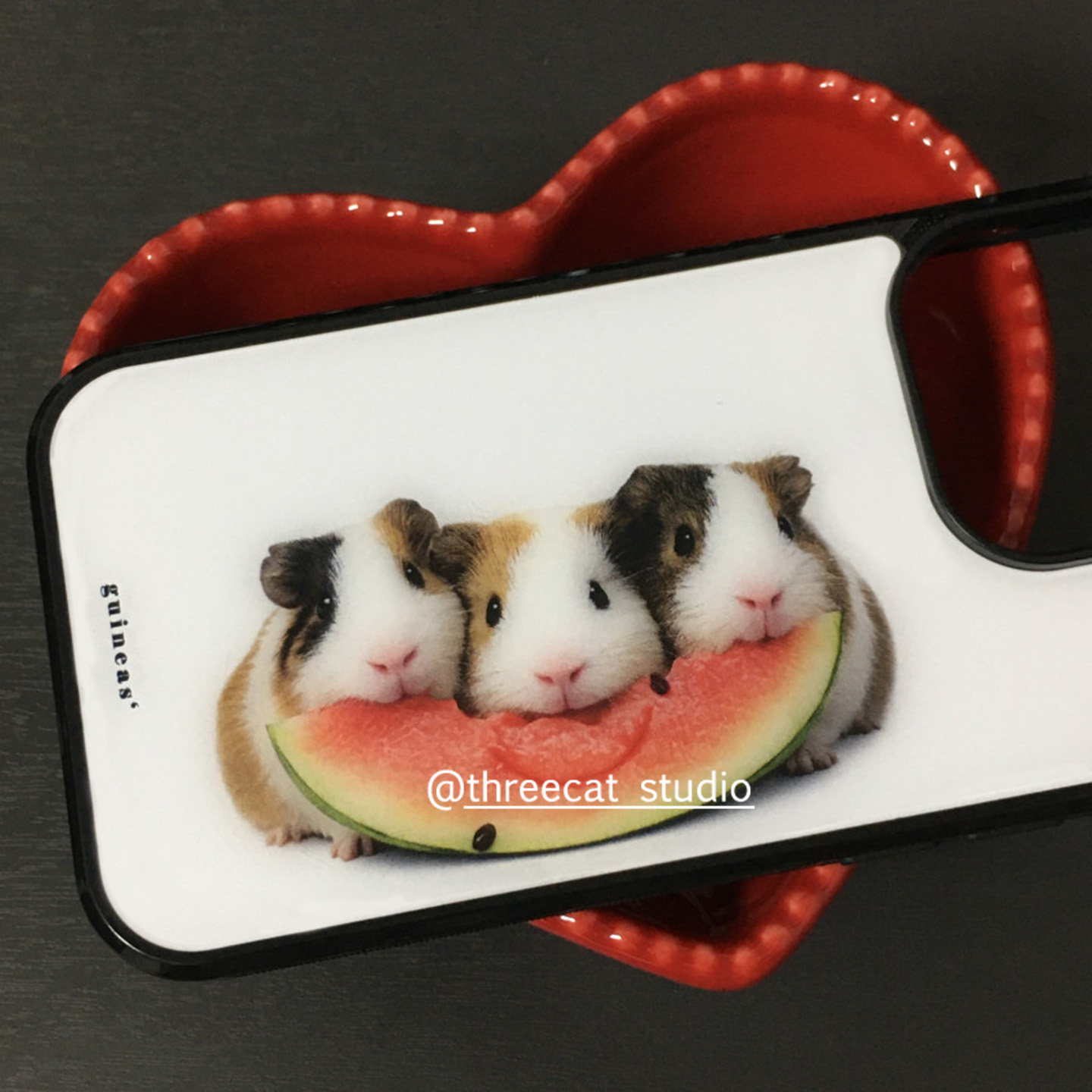 Korean Ins Guinea Pig Eat Wate - đánh giá và giá Phone Cases Korean